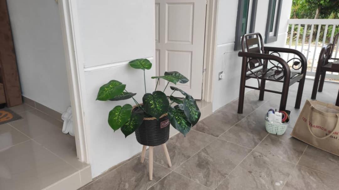 D'Lamar Homestay Pendang エクステリア 写真